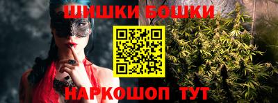 крисы Обь