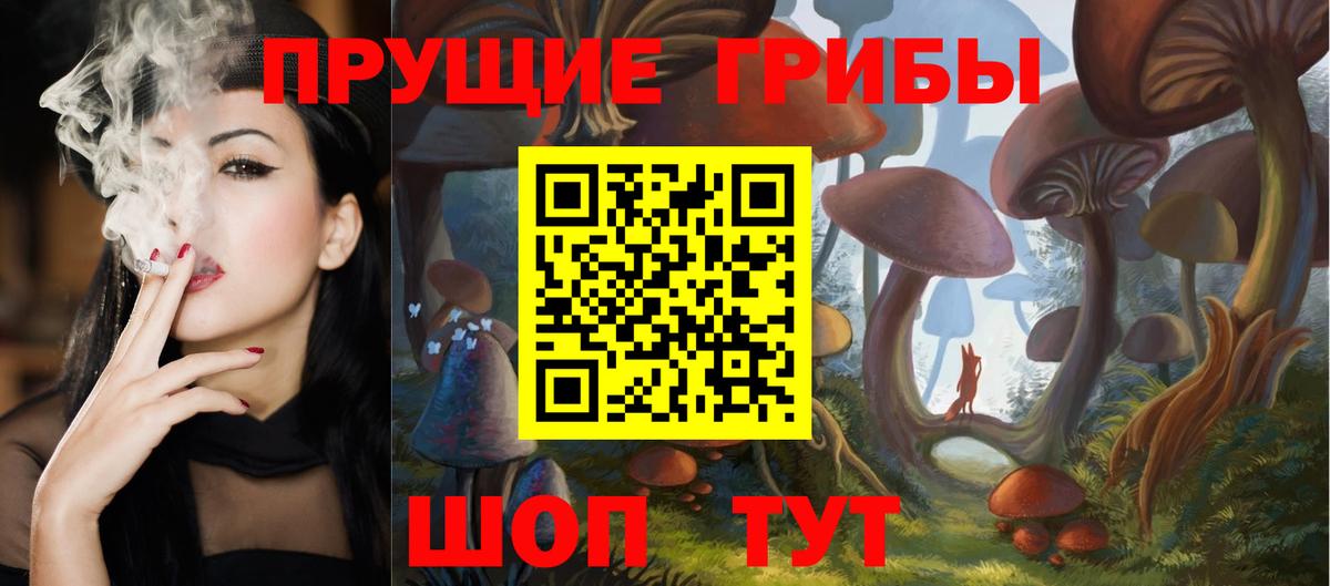 Братск  Псилоцибиновые грибы MAGIC MUSHROOMS  Галлюциногенные грибы MAGIC MUSHROOMS  как найти закладки  Вход с VPN 